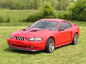 Mustang 066.jpg
